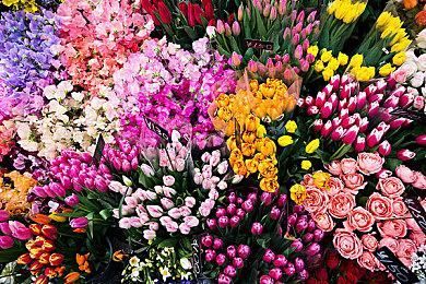 第三人称枪斗动作游戏《SPINE》新截图